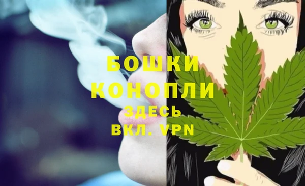 PSILOCYBIN Нижневартовск