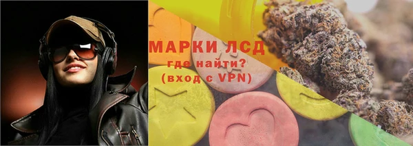spice Кострома