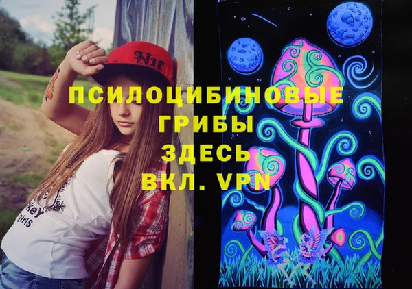 spice Кострома