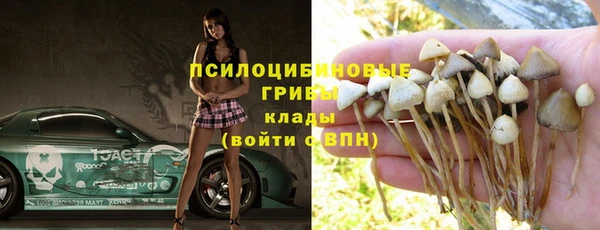 ешки Магас